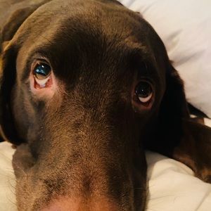 Meet your Posher, Hollee